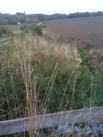Field Farm Stapleford 