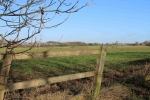 The site at Toton