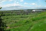 Toton Sidings