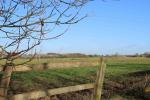 The site at Toton